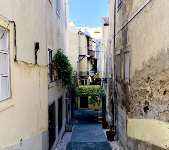 Príncipe Real com nova associação dinamizadora Príncipe Real com nova associação dinamizadora